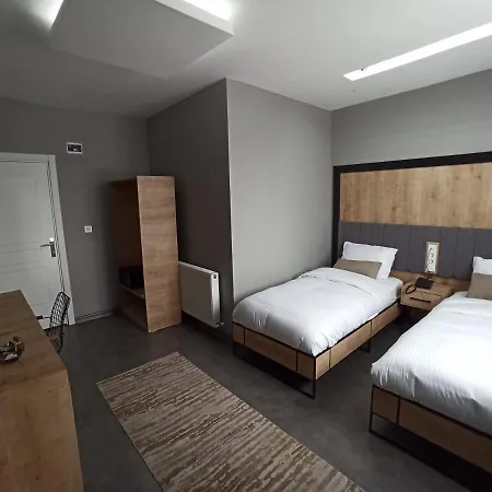 ホテル Skylon Airport 3*