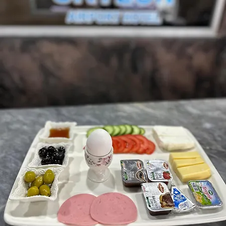 酒店 Skylon Airport