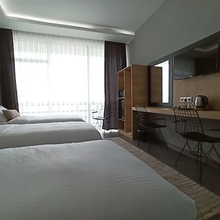 Skylon Airport Hotel 3*